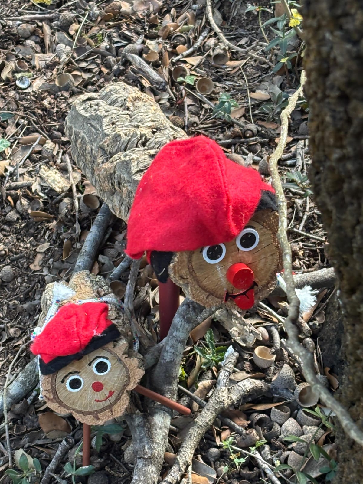 Tradició Cultural Catalana (El Tió).
